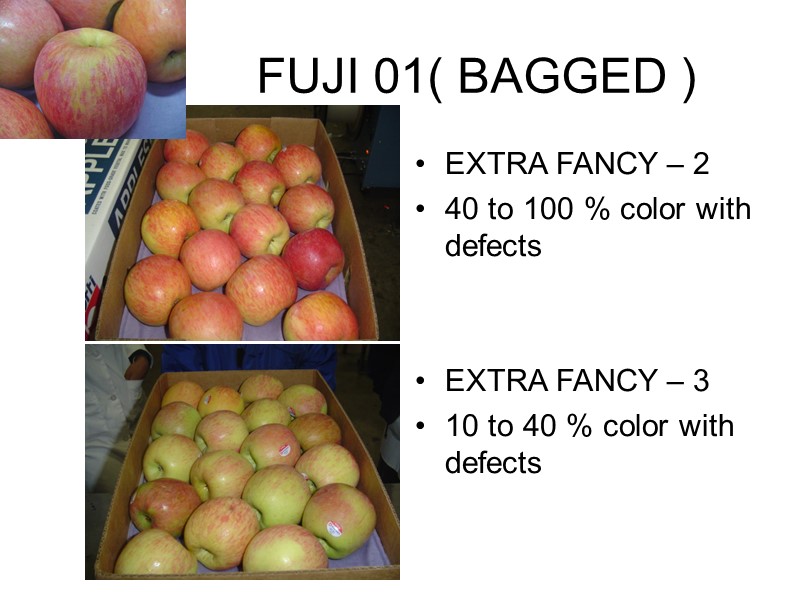 FUJI 01( BAGGED ) EXTRA FANCY – 2  40 to 100 % color